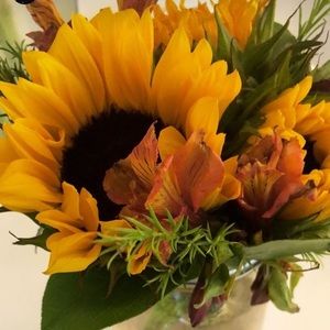 Meet your Posher, Belle